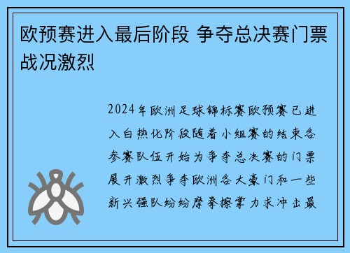 欧预赛进入最后阶段 争夺总决赛门票战况激烈